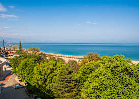 Hotel Gladiola 4