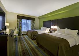 Holiday Inn CHRISTIANSBURG BLACKSBURG by IHG 4