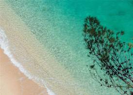 Baia Delle Zagare - Handwritten Collection 3