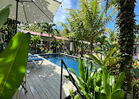 Rooms & Pool Macaws 3