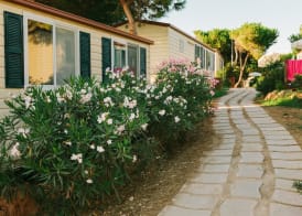 Torre del Porticciolo Camping Village Glamping 2