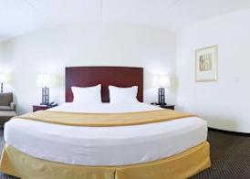 Holiday Inn Express & Suites CHICAGO WEST-O'HARE ARPT AREA by IHG 4