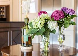 The Regency Sure Hotel Collection by Best Western 4