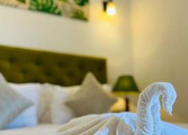 J leaf Hotel by Blue Bird 3