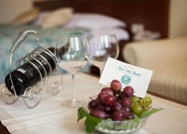 Hotel Villa Bacchus 4