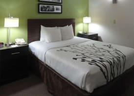 Sleep Inn & Suites Near Columbus - State University Area 3