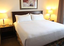 Holiday Inn & Suites WEST EDMONTON by IHG 5