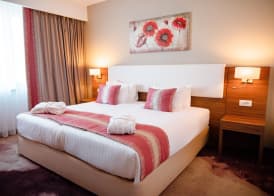Ramada Plaza by Wyndham Craiova 3