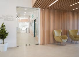 Vitors Plaza 5