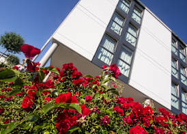 iQ-Hotel Ulm 5