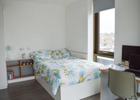 Student Only Byrom Point 5