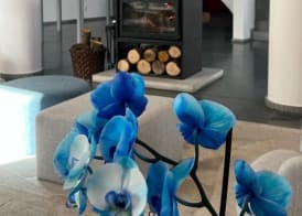 Boticas Hotel Art & SPA 5