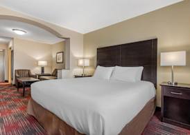 Best Western Plus Red Deer Inn & Suite 5