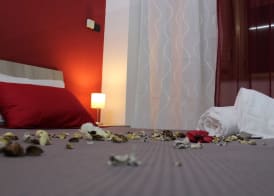 Harmony Rooms 2