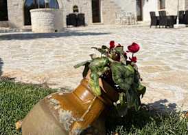 Locazione turistica il boschetto 2