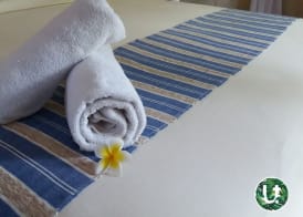 Ubud Tropical 5