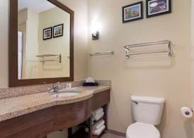 Comfort Suites Saraland - North Mobile 3