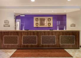 Comfort Suites Maingate East 3