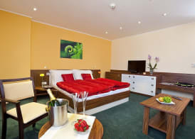 Hotel Viktor 5