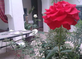 Riad Dar Bounouar 2