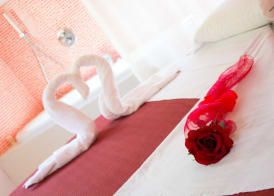 Minihotel IRIS 5
