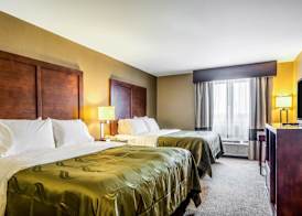 Quality Inn & Suites Salem near I-57 4