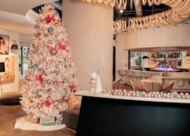Hotel Zena Washington DC 2