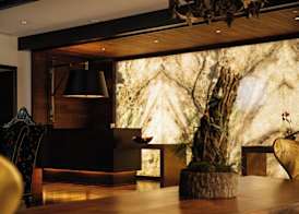 Grand Bohemian Mountain Brook, Autograph Collection 2