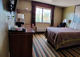 Super 8 by Wyndham Champaign 4