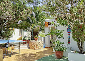La Palmera 4