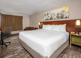 Comfort Inn Ottawa East 4