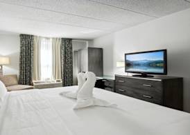 Holiday Inn Express WILLIAMSBURG NORTH by IHG 5