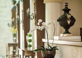 JOIA Bávaro by Iberostar - Adults Only - All Inclusive 2
