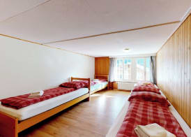Gadmen Alpenrose Switzerland 3