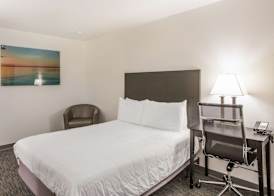 Americas Best Value Inn & Suites-Birch Run 5