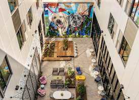 Origin Austin, a Wyndham Hotel 3