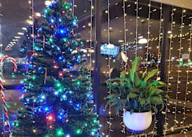 Best Western Point South 5