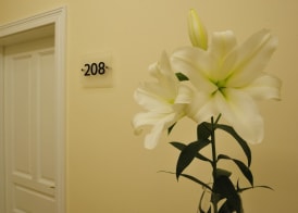Kosmopolita Rooms 2