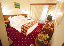 Hotel Prahova Plaza 4