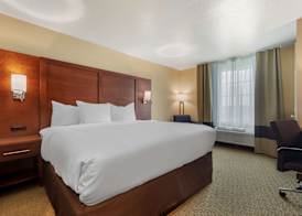 Comfort Inn & Suites Euless DFW West 4