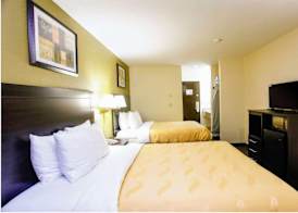 Cozy Inn 5