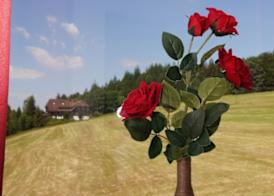 Gasthof Lafette 4