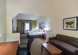 Quality Inn & Suites West Chase 5