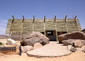 Desert Quiver Camp 3