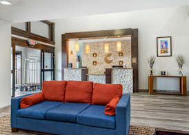 Comfort Inn & Suites Houston FM1960 - Champions 3
