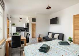 Loft Apartments 5