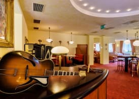 Waldhotel Vogtland 3