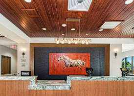 DoubleTree by Hilton San Antonio Northwest 5