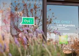 ibis Styles Carcassonne La Cité 4