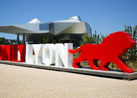 Hotel Ibis Budget Lyon Eurexpo - 3